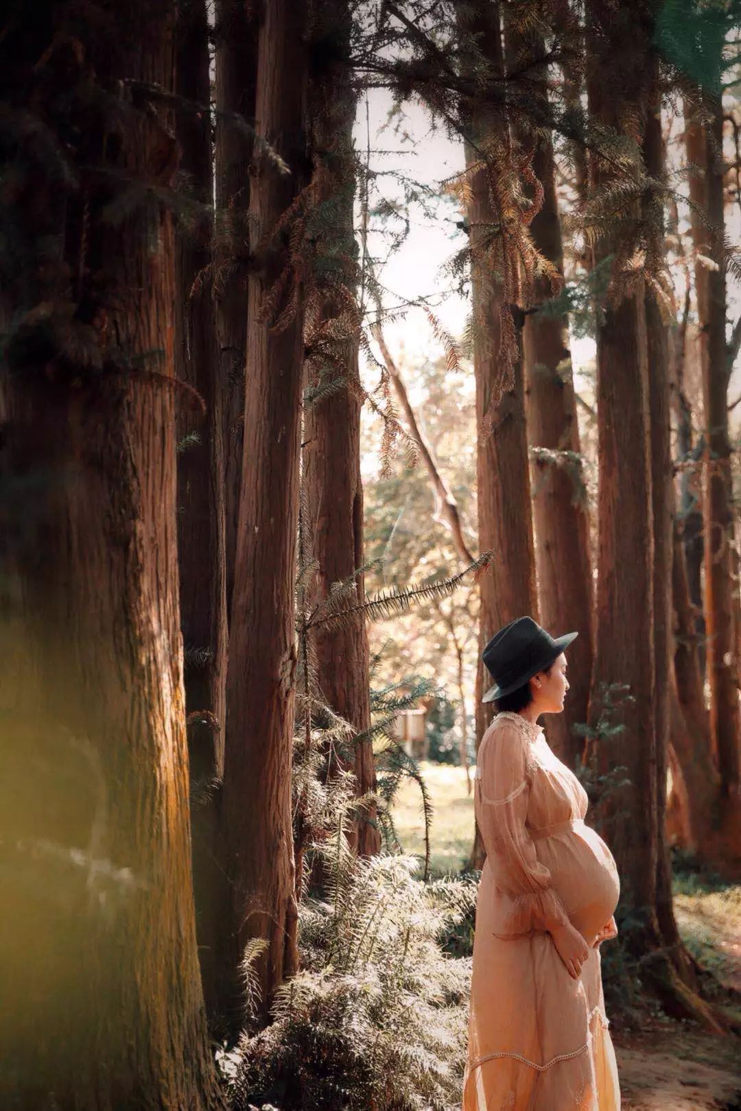 真正的军婚,军婚其实不是那么简单