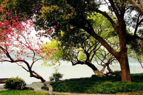 杭州游之西湖十景,苏堤春晓杭州十景