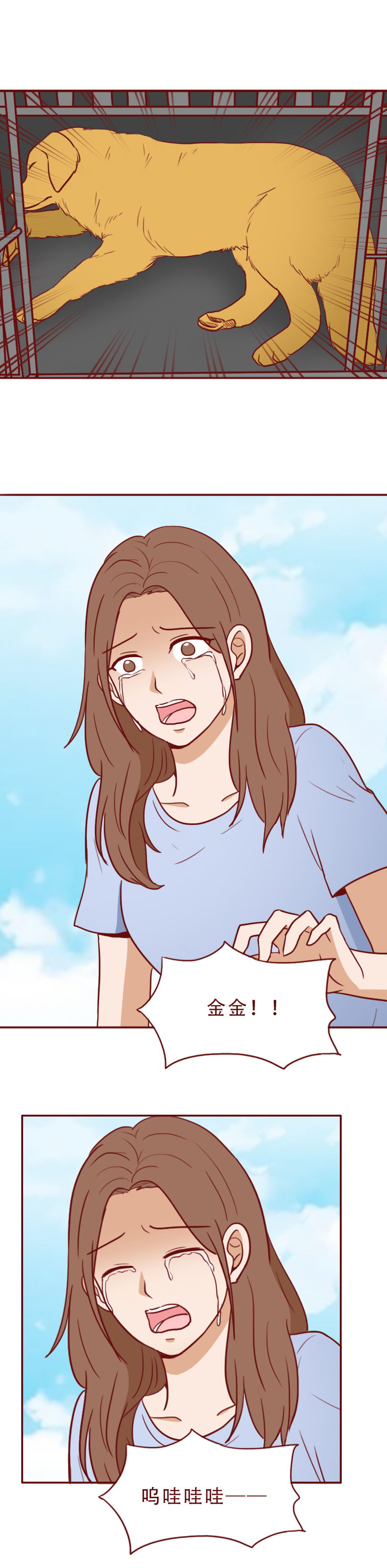 瀹犵墿鎵樿繍鍑轰簨婕敾,瀹犵墿鎵樿繍浜嬩欢鍚庣画婕敾