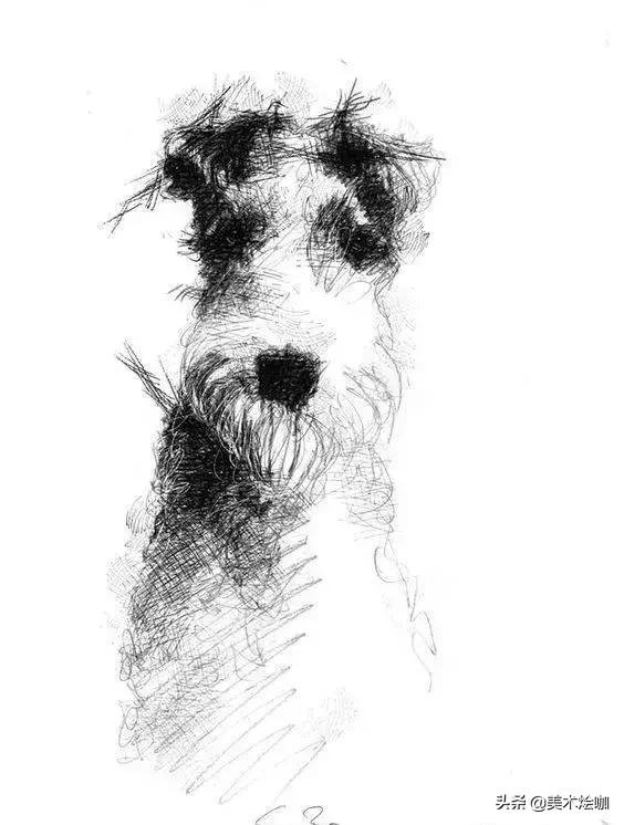 6-12岁儿童素描课程画动物,素描动物教程简单8-12岁