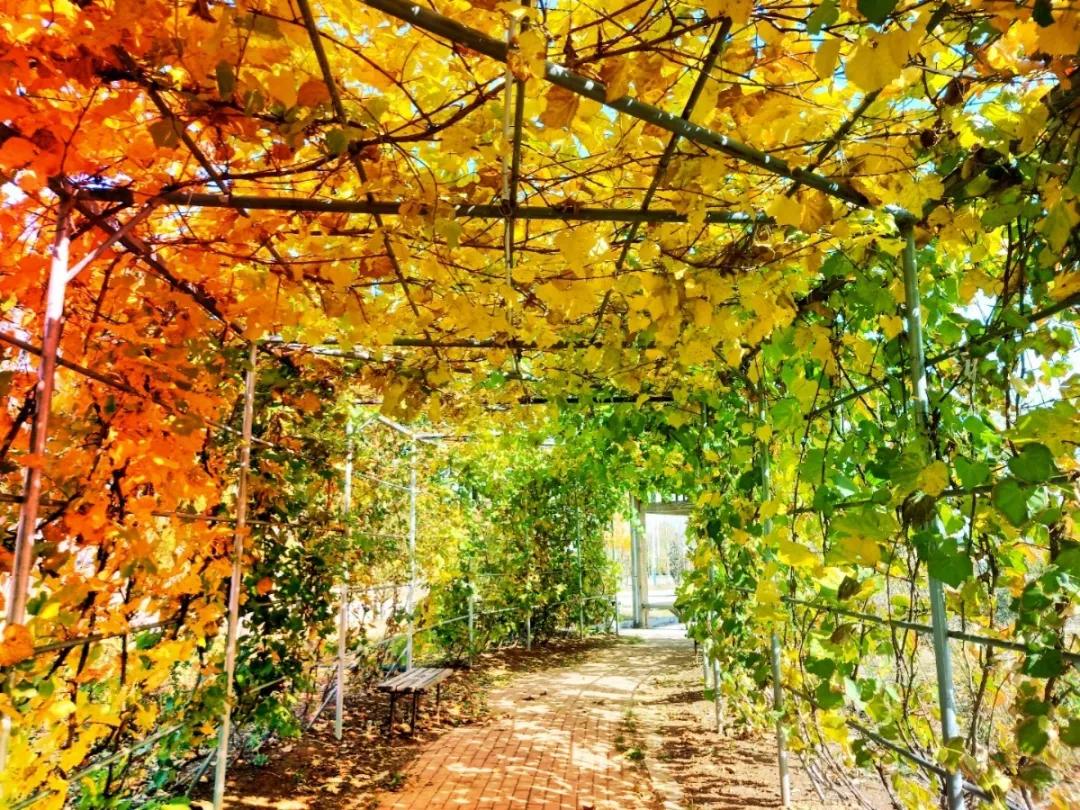 营口理工现状,营口理工不信谣不传谣