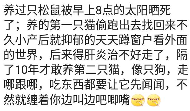 养一只鹦鹉它晚上说话吓人吧,养一只小鹦鹉像猫狗一样