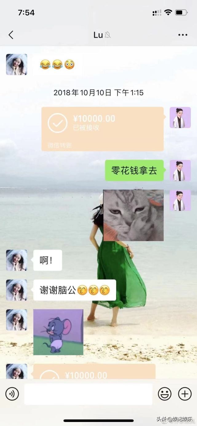 陈岚谈霍尊事件,陈岚对霍尊事件的看法