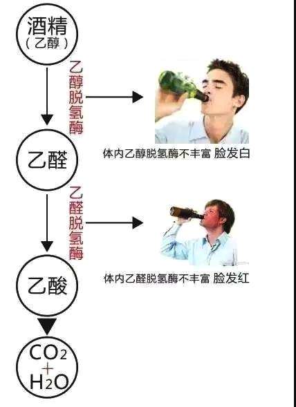酒后乱思想,酒后胡言乱语心理分析