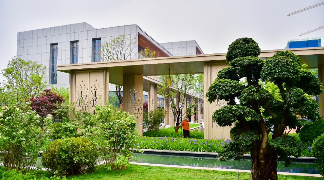 光荣与梦想解读,光荣与梦想的主题思想