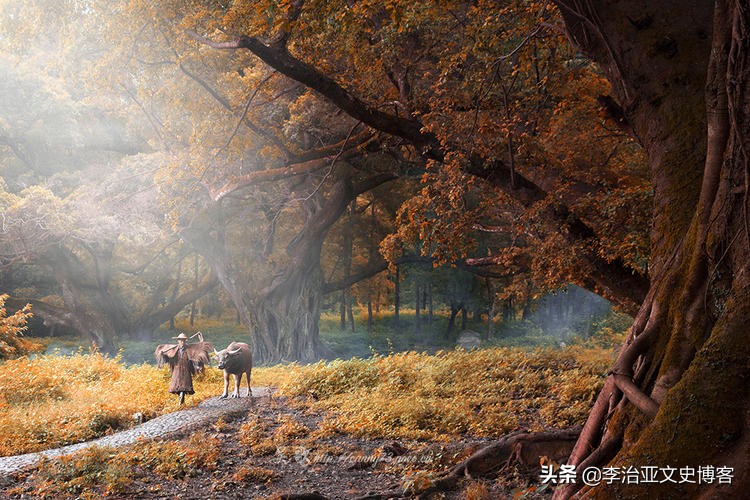 有一种悲伤叫释怀,伤心不如释怀的句子