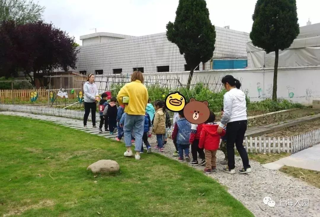 探园幼儿园环境,探园幼儿园招远