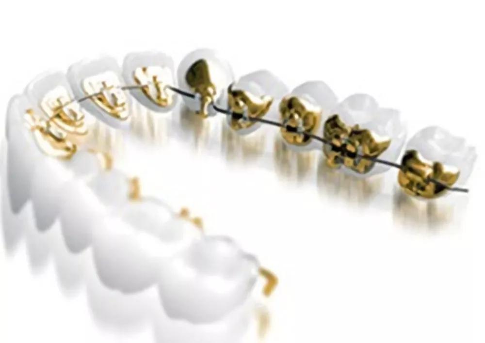 可可爱爱的小老虎能养吗,可可爱爱的猫科动物