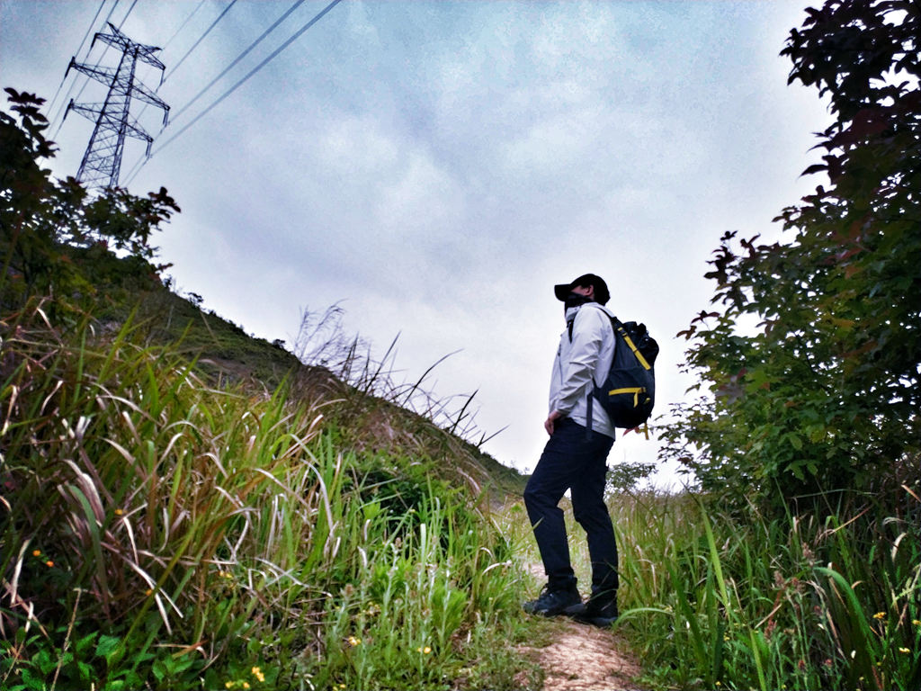 猛犸象什么装备好,猛犸象装备如何配