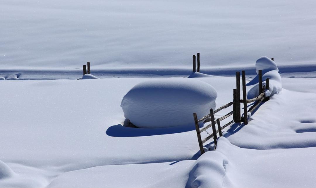 冬日诗词鉴赏精选,诗词鉴赏十首
