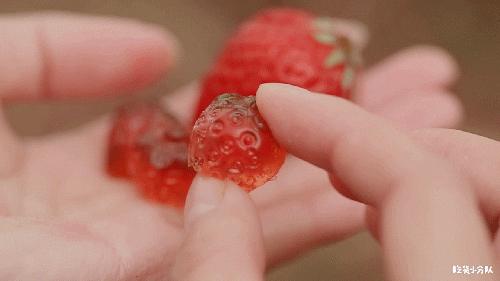 17元/颗的隐形草莓，荷兰来的