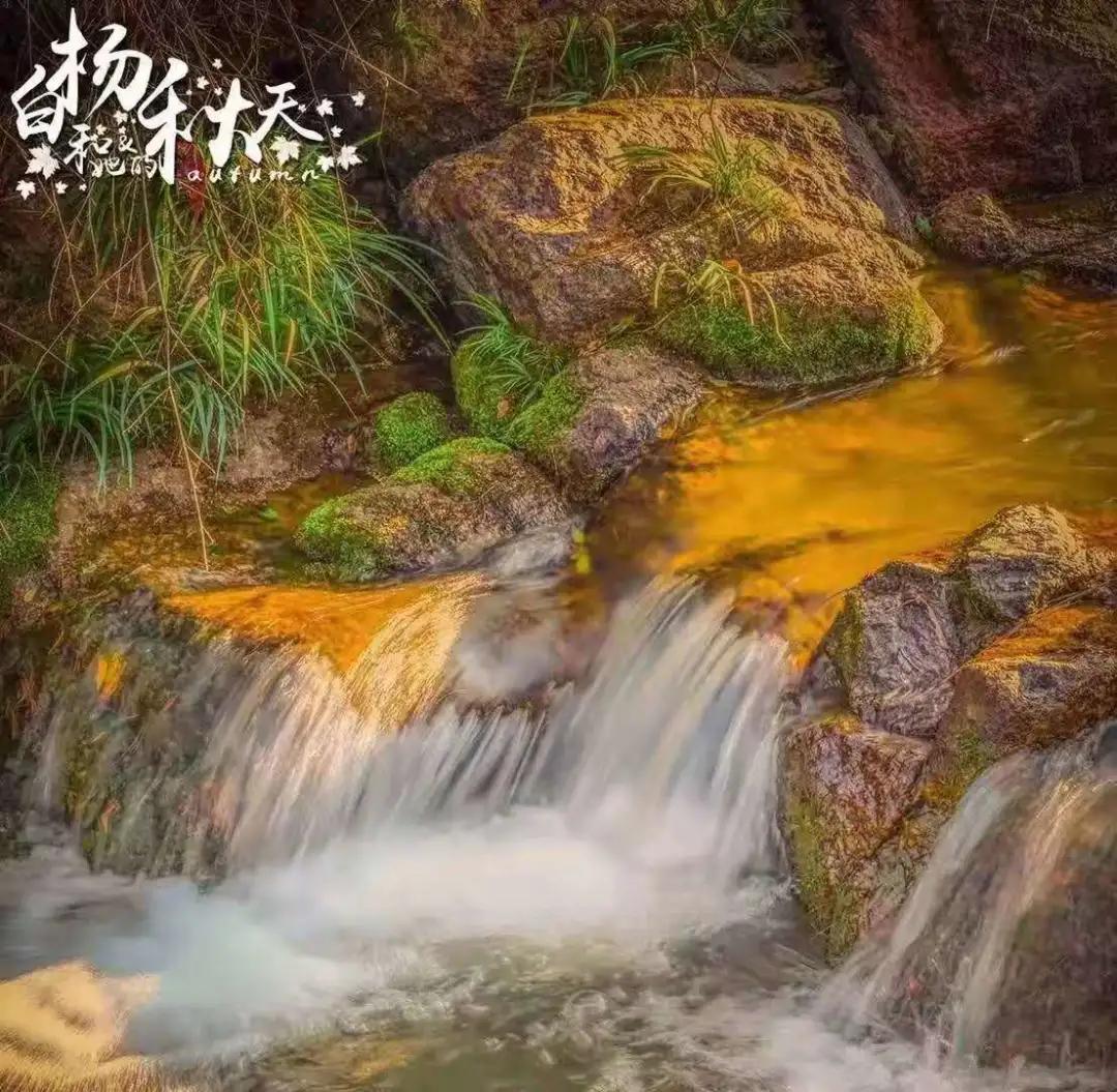 安吉的竹海村落,安吉竹海附近的村子