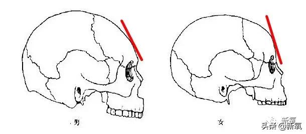 宁静和郑希怡对比,郑希怡和宁静对比