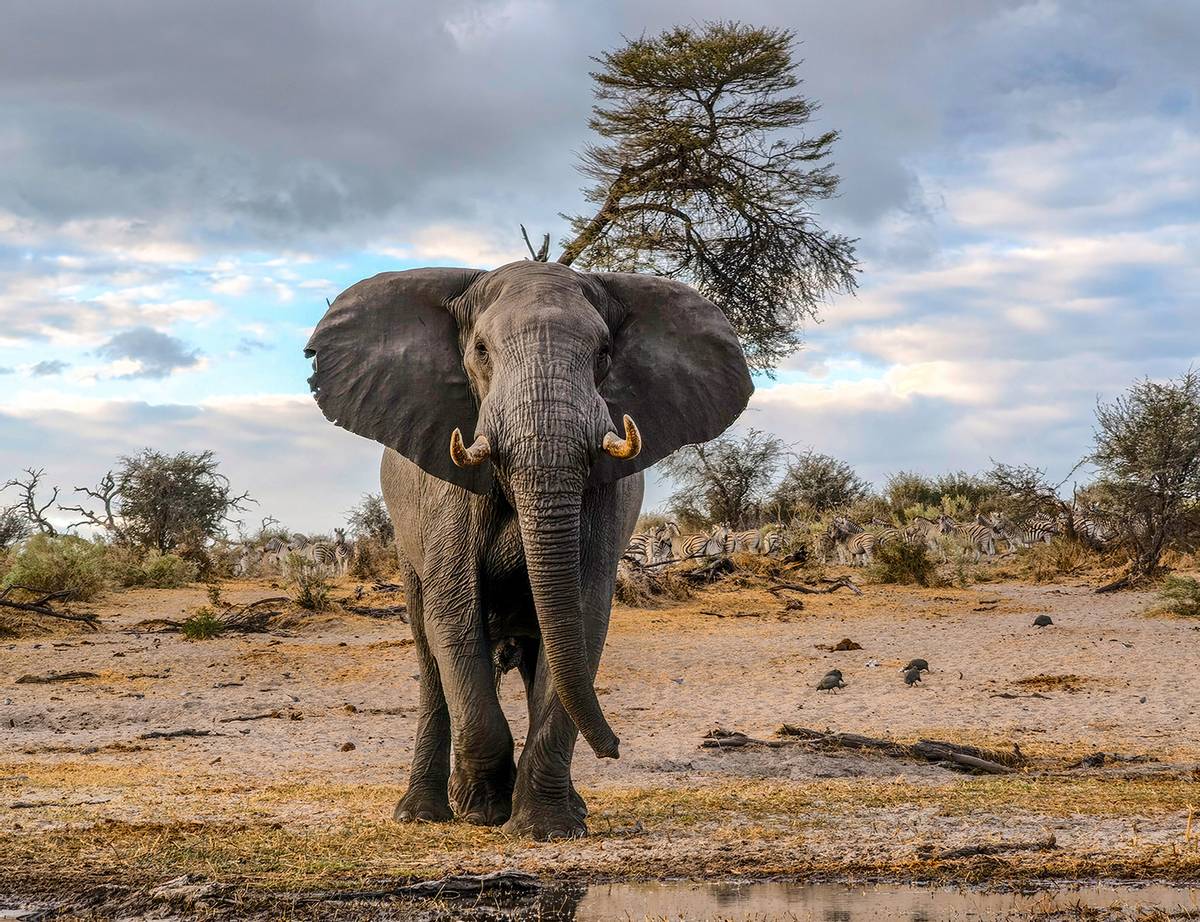 13pro拍照对比华为p50pro,华为p50pro拍照dxo评分