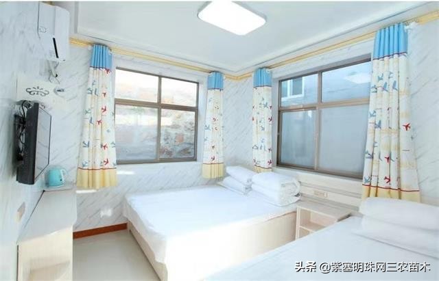 爱上一座城爱上一个人短视频,长岛大壮渔家民宿团购