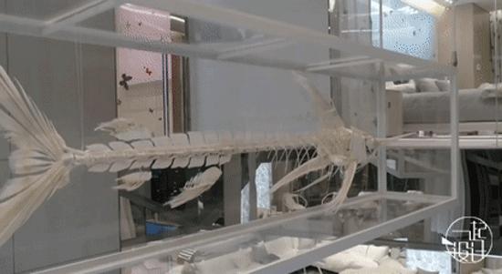 全球十大最贵酒店,全球最贵酒店住一晚多少钱