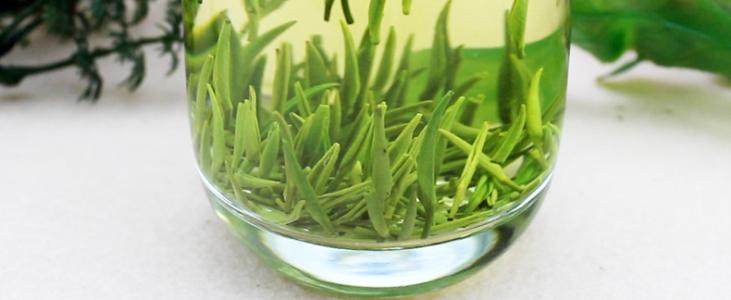 蒙顶黄芽与蒙顶雀舌口感,蒙顶雀舌和蒙顶石花