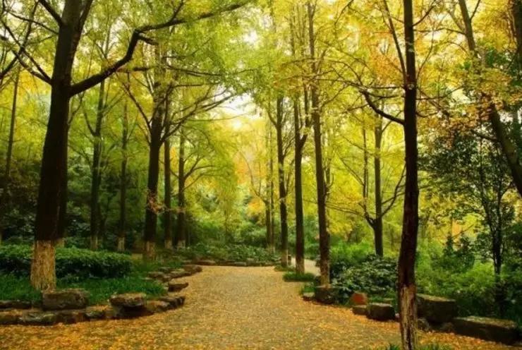 点击了解秦淮最适合投资的公寓-汉中公馆