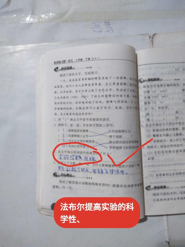 小学三年级法布尔课文,三年级哪些是法布尔的作品