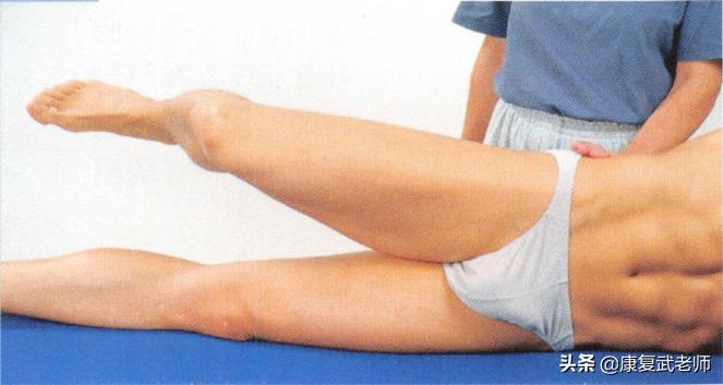 臀部肌群解剖,臀部肌功能解剖