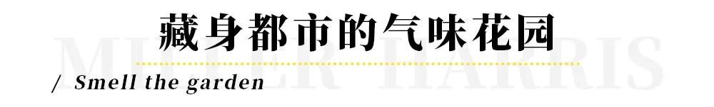 新天地空降一座“隐形”的气味花园，解锁伦敦气味密码