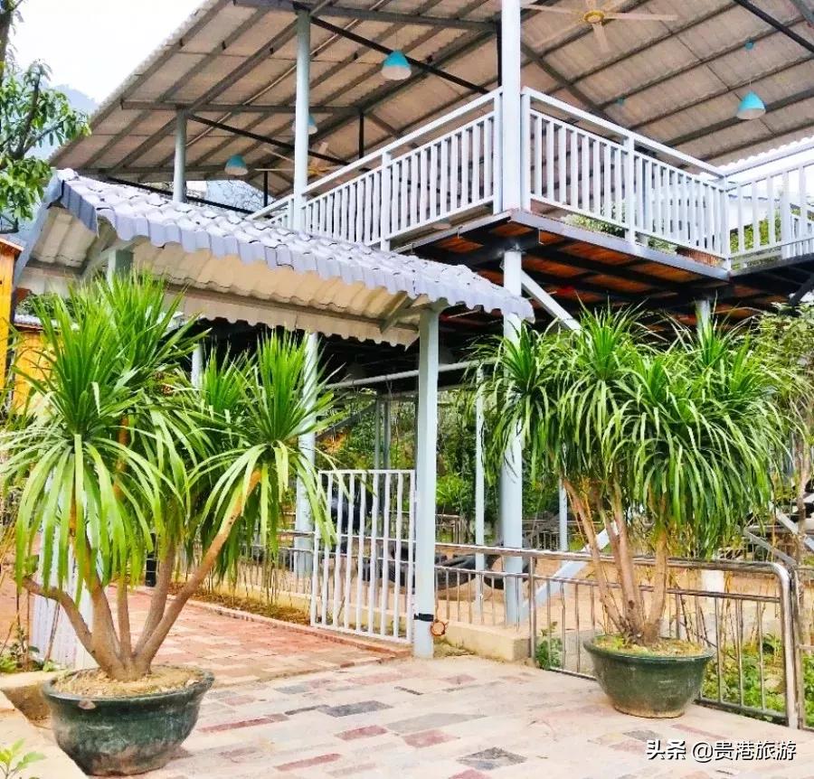 鐜╄浆骞胯タ妗傚钩姘戝,妗傚钩姘戝