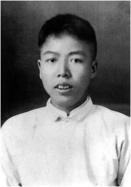 理想照耀中国真理的味道第几集,理想照耀中国真理的味道观看感受