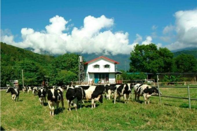 台湾环岛8日自由行详细攻略,台湾环岛游自由行攻略大全