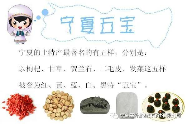 宁夏塞外旅游旅行社有限公司招聘,宁夏塞外旅游旅行社