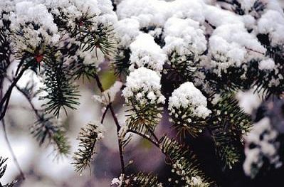 寄情于山水之间的唯美古诗词,寄情山水悠闲自得的诗词