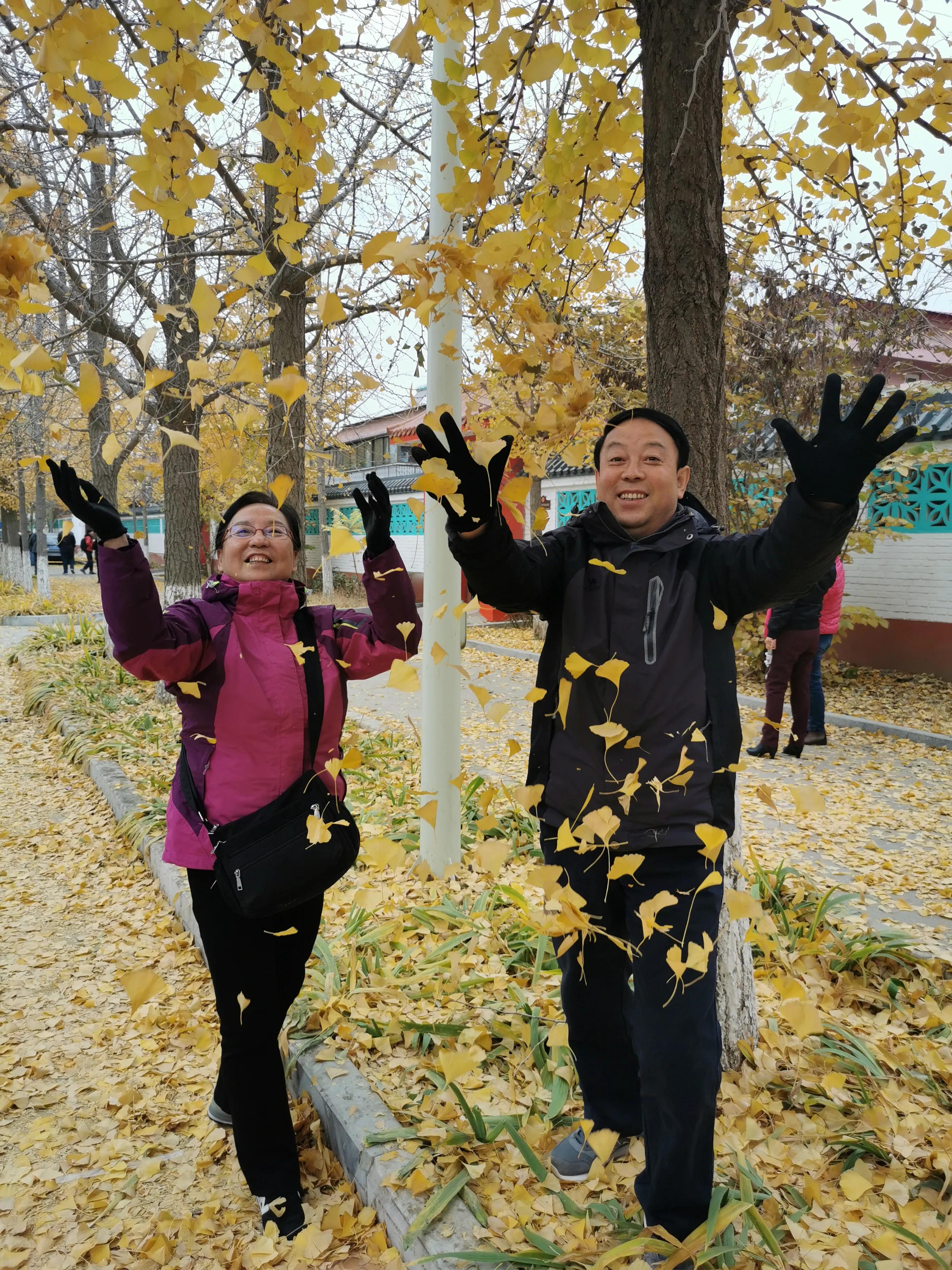 北京房山最美乡村项目,韩村河是中国十佳乡村吗