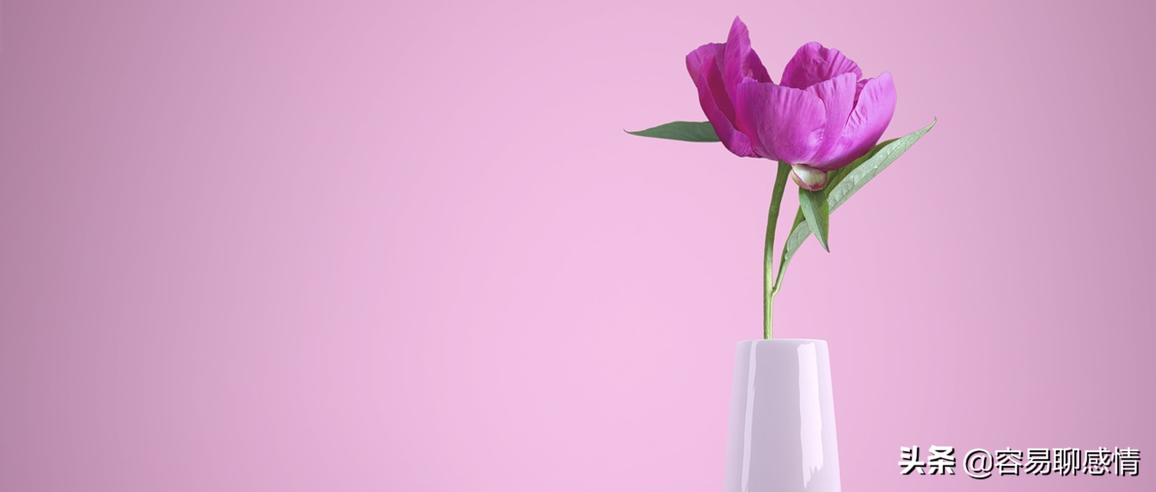 相亲约会怎么选择男生,和男生相亲技巧与聊天话题