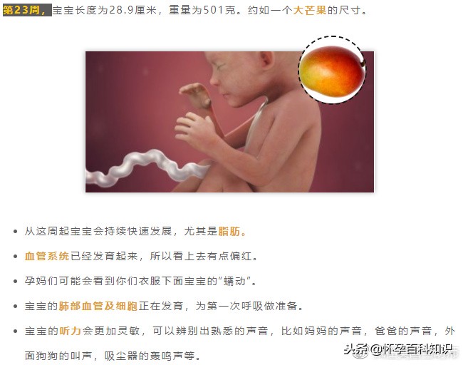 怀孕各个时期胎儿发育过程,怀孕的过程要几天