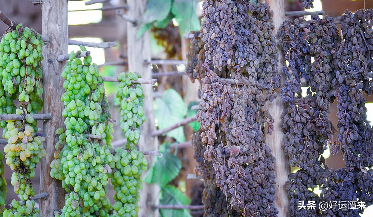 在新疆葡萄干类的小吃,新疆哪里的葡萄干比较好吃