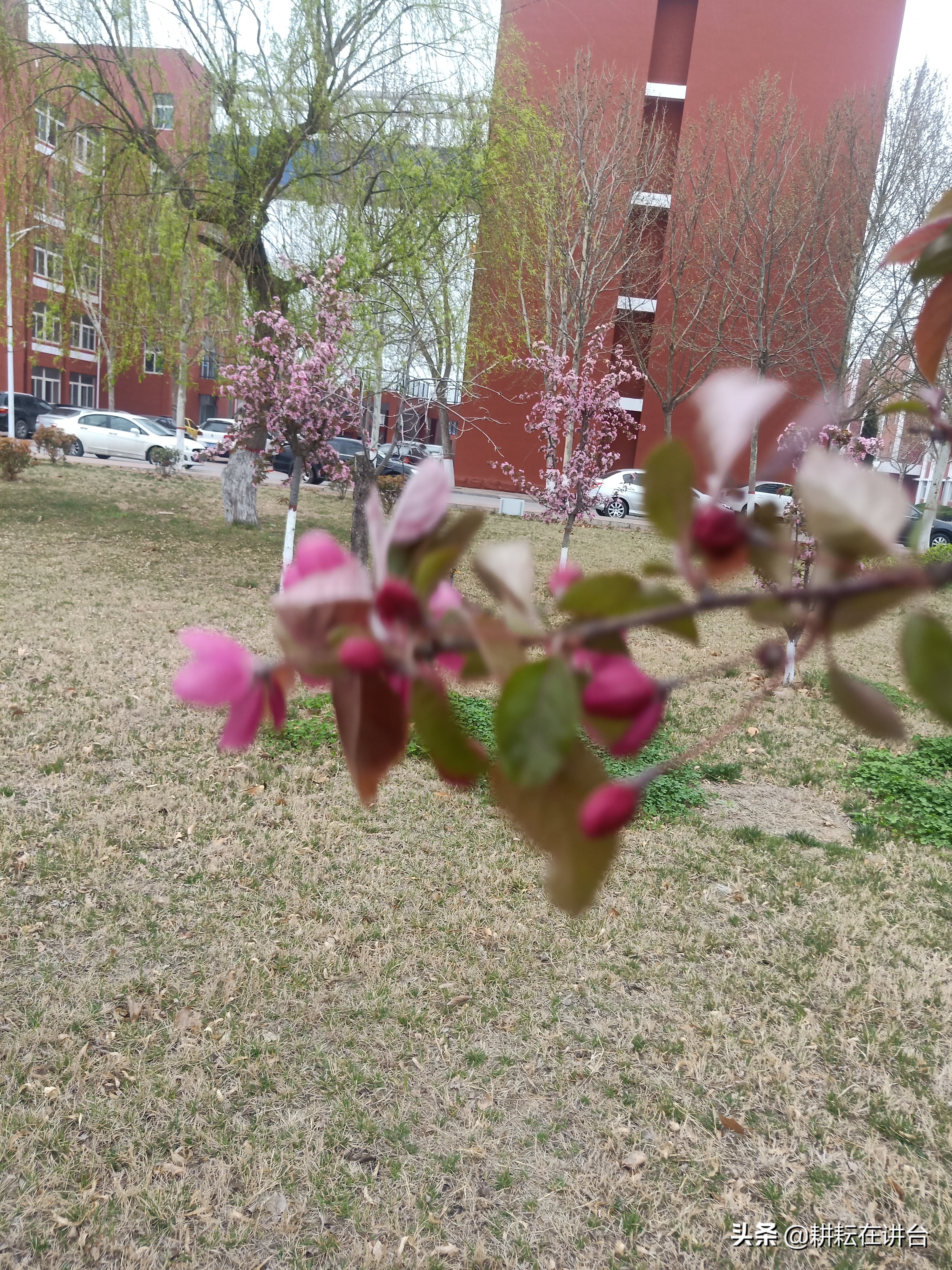 春学期第一次升旗仪式讲话,新学期首次升旗仪式暨国旗下讲话