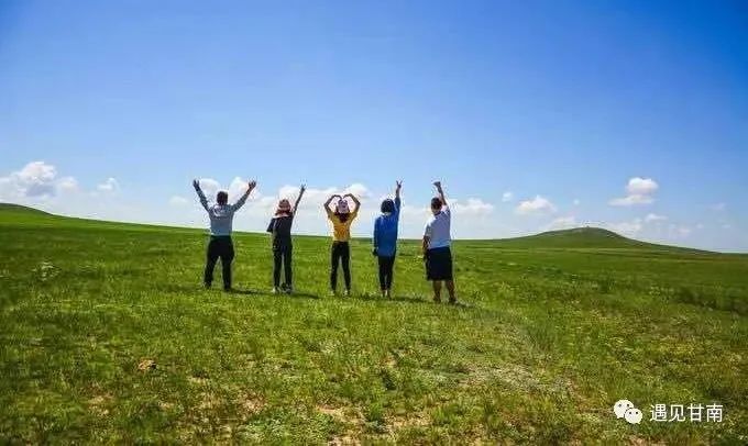 夏天的草原玛曲,夏天的玛曲草原