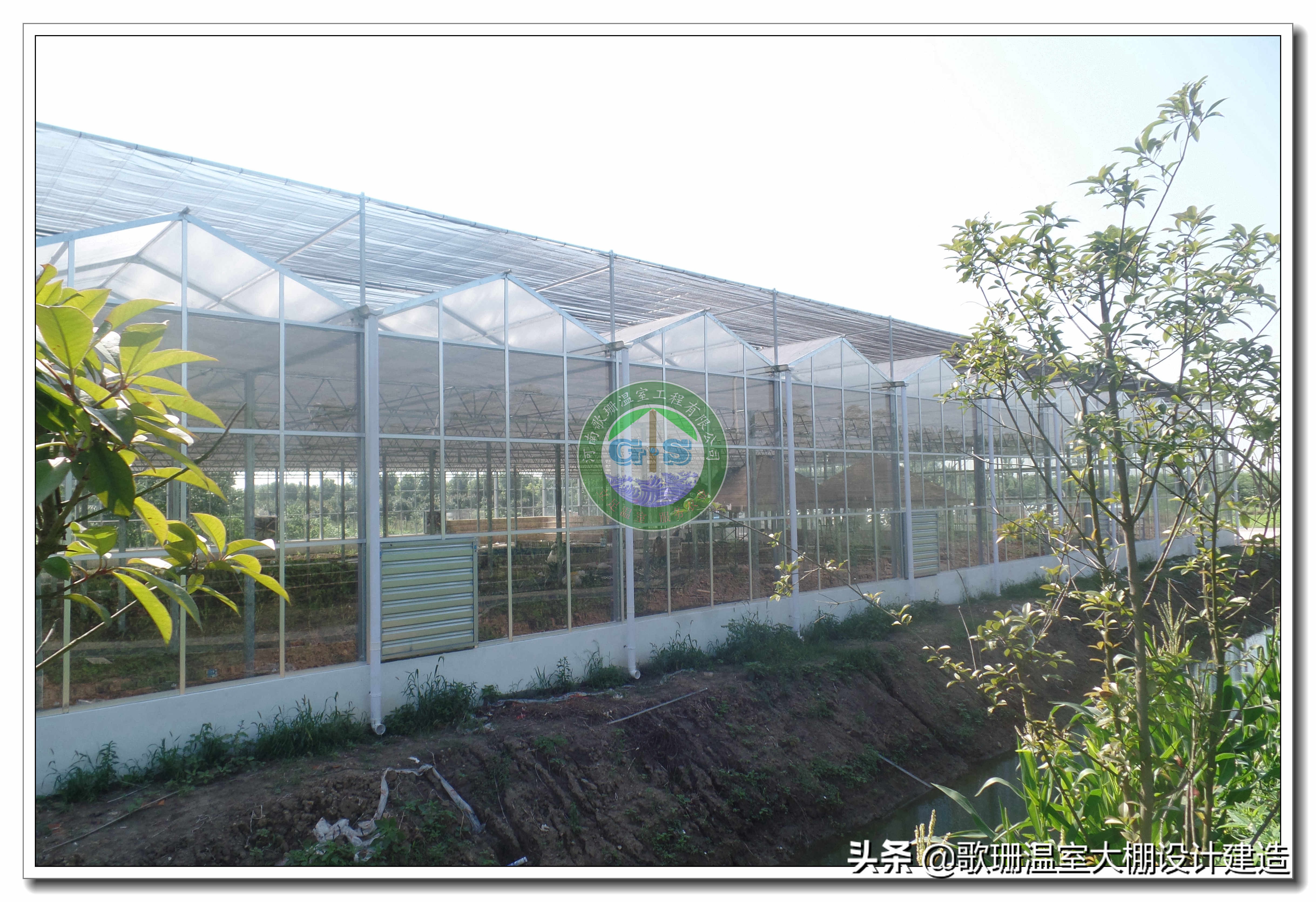 歌珊温室大棚设计,歌珊温室电话
