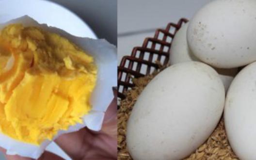 孕晚期怎么吃鹅蛋能更好的去胎毒,孕晚期怎么吃鹅蛋去胎毒