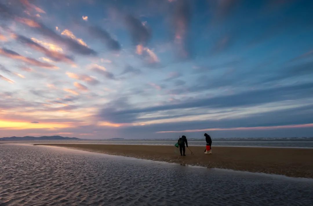 蛤蜊、蛏子、毛蚶、蚬子，那些好吃的小贝壳，今天一次搞清楚