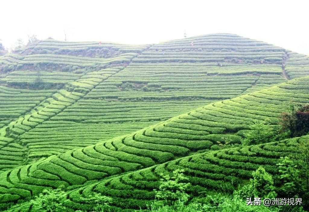 绍兴市新昌县十大旅游景点有哪些,新昌旅游攻略有哪些