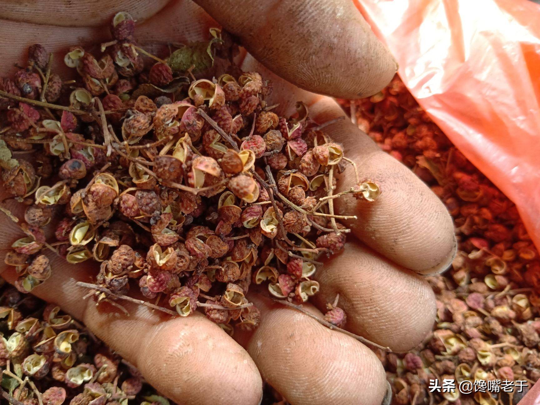 炖羊肉切记4大要点,炖羊肉千万别乱加大料