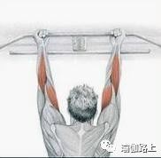 打通胳膊经络锻炼动作和方法,手臂经络不通松解法教程