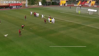 狂热球迷冲进赛场视频,狂热球迷冲进球场自述