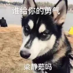 为了祛痘，小伙买10条活蚂蟥放脸上！结果悲剧了……