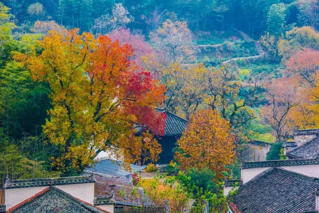 一个徽州惊艳全世界,徽州凭什么惊艳世界