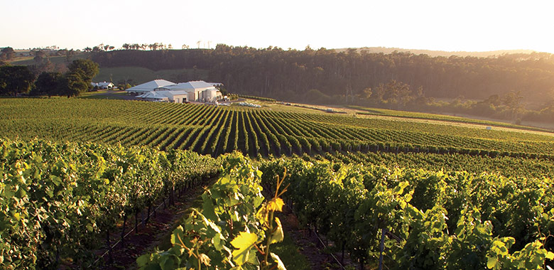 德国最适合旅游的十大酒庄,塔斯马尼亚岛最美的地方