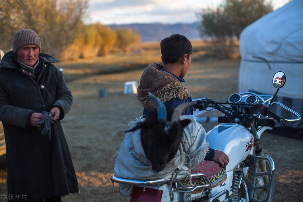 蒙古其实并不穷，乌兰巴托导游：我们成为发达国家不是问题