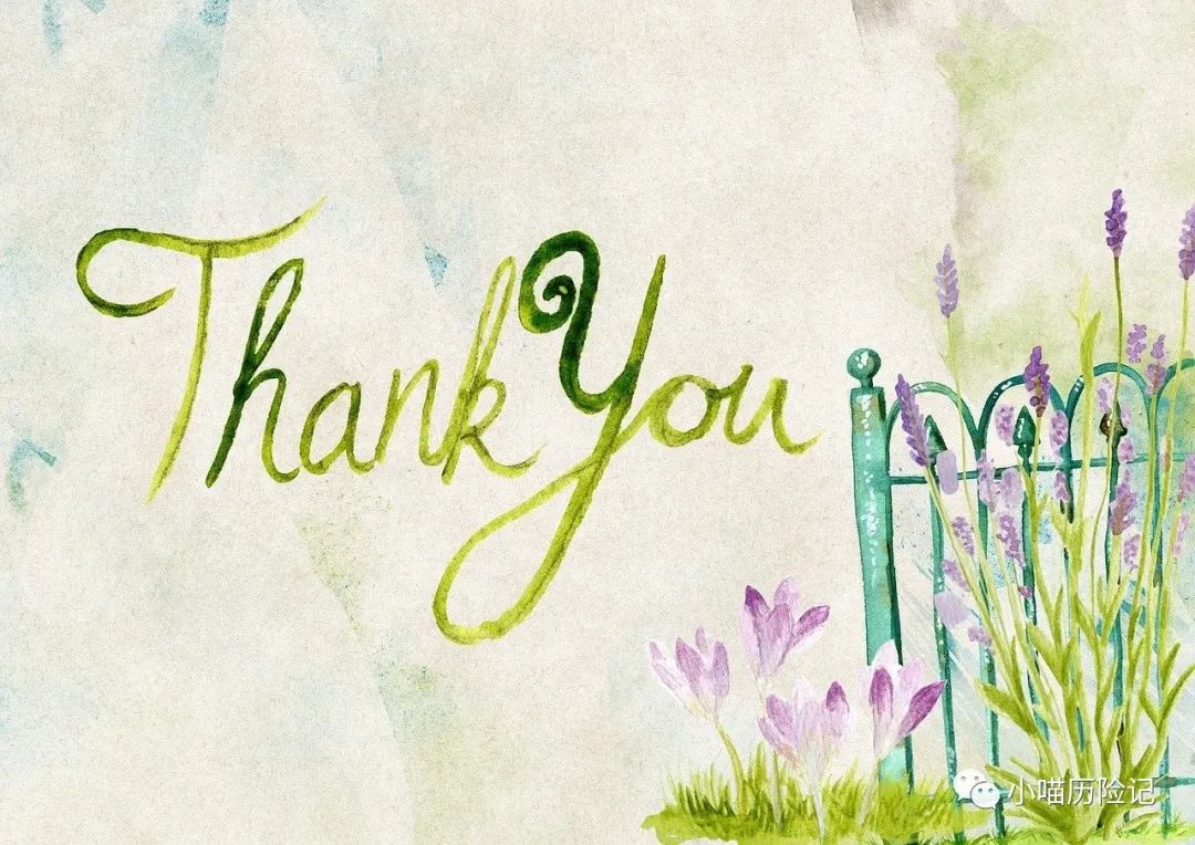 快返型年金险收益排行榜2024,快返型年金险和养老年金险的区别