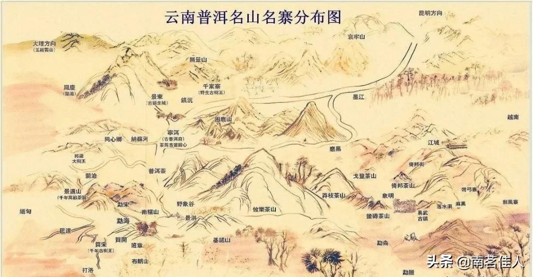 普洱茶的一级类目是什么,普洱茶一山一味的典型代表