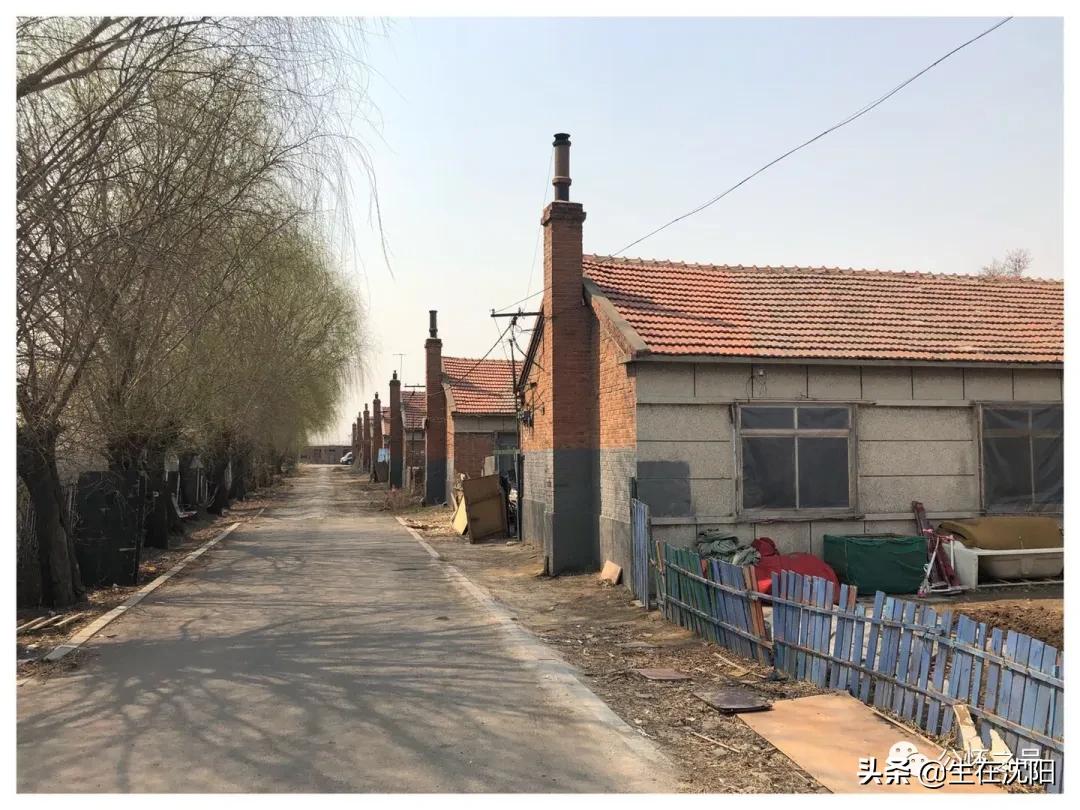 沈阳回忆,沈阳兴华实验学校回忆录